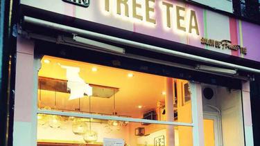 树茶 Tree Tea
