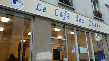 Le Café des Chats Bastille