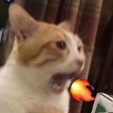 Le
