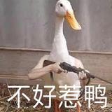 呵呵