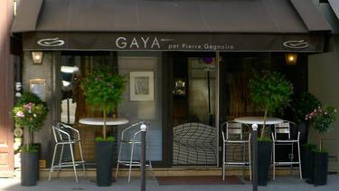 Gaya Rive Gauche